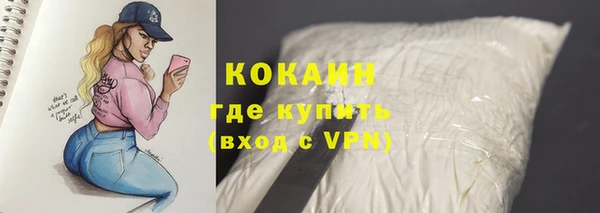 крисы Верея