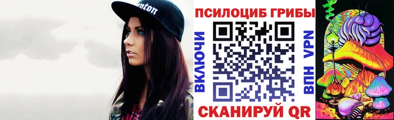 mega   Высоковск  Галлюциногенные грибы Psilocybe 